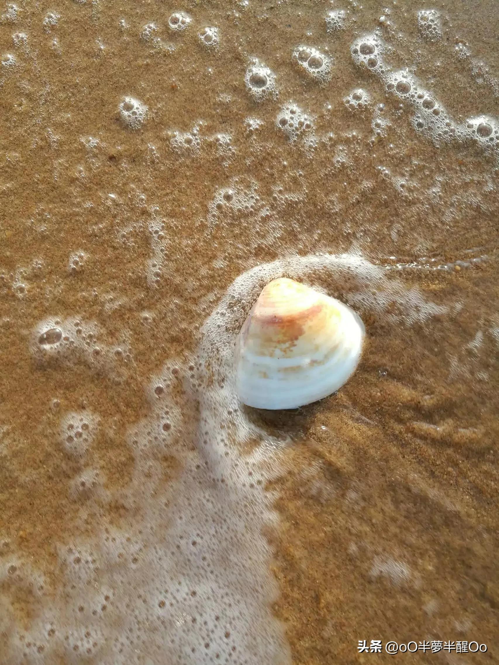 海口印象,海口印象酒店公寓