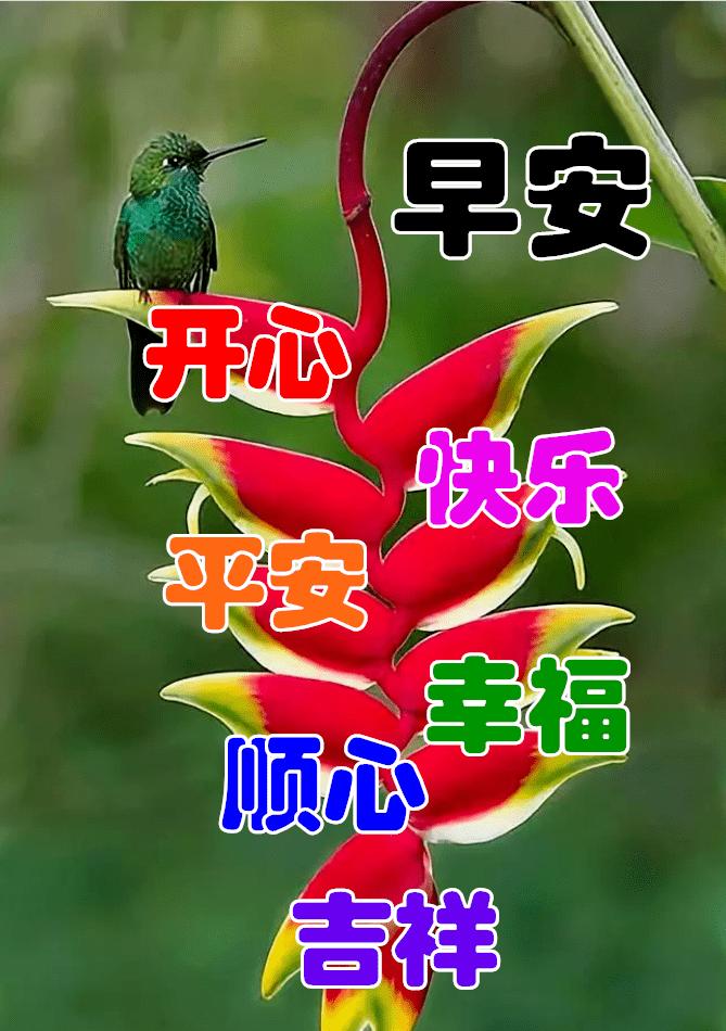 早安心语每日一句正能量短句图文,早安心语励志语录精辟