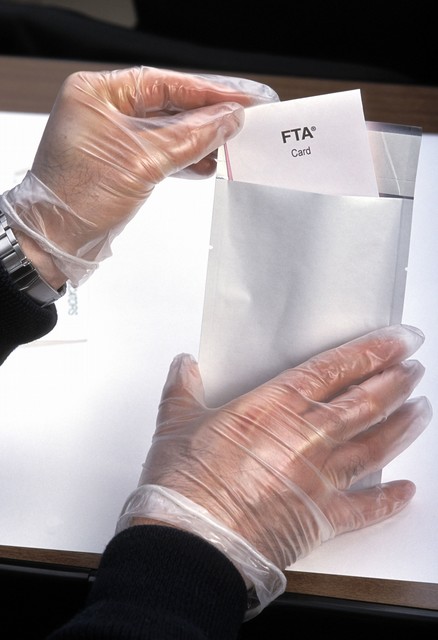 没请律师打官司怎么收集证据,打官司没请律师怎么收集证据