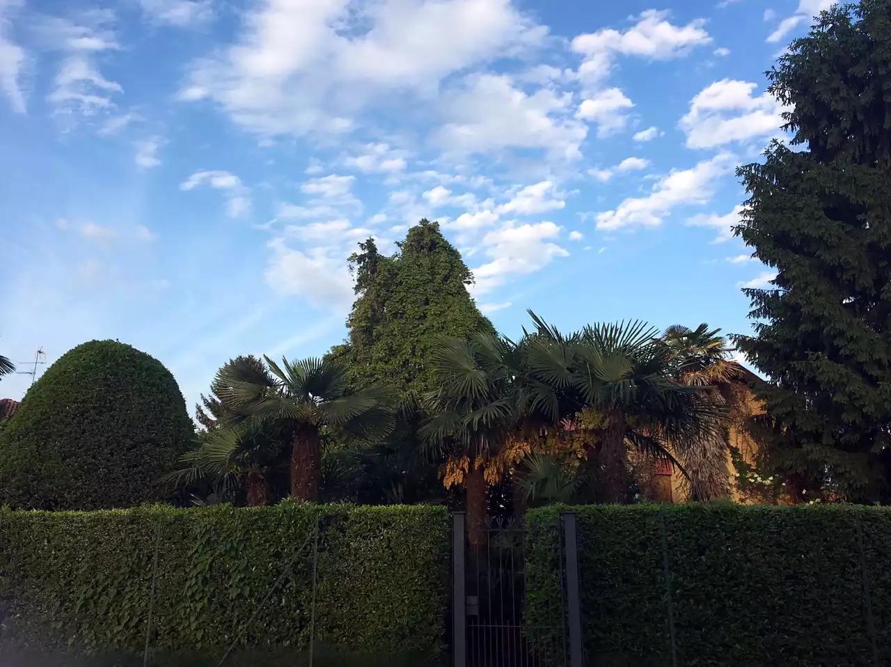 在法国新婚蜜月去哪里度假好,蜜月旅行两个人去法国自由行