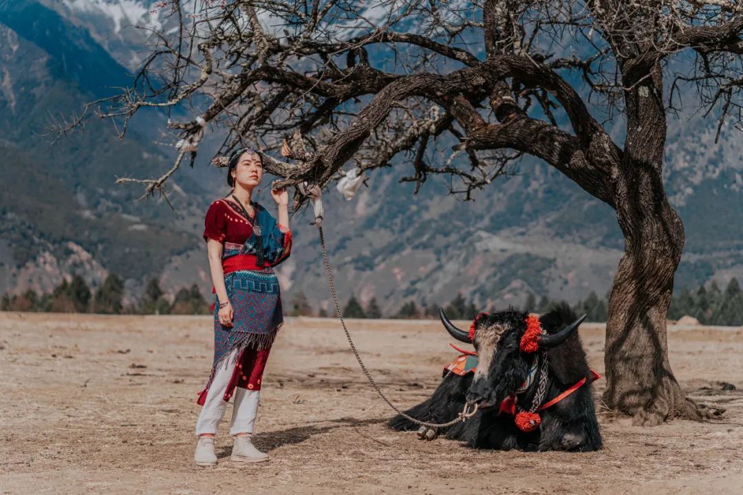 林芝花期预测,林芝桃花最佳观赏时间气温