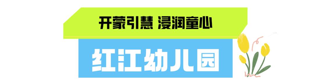 武汉各高校开学了吗,武汉经开新开学校