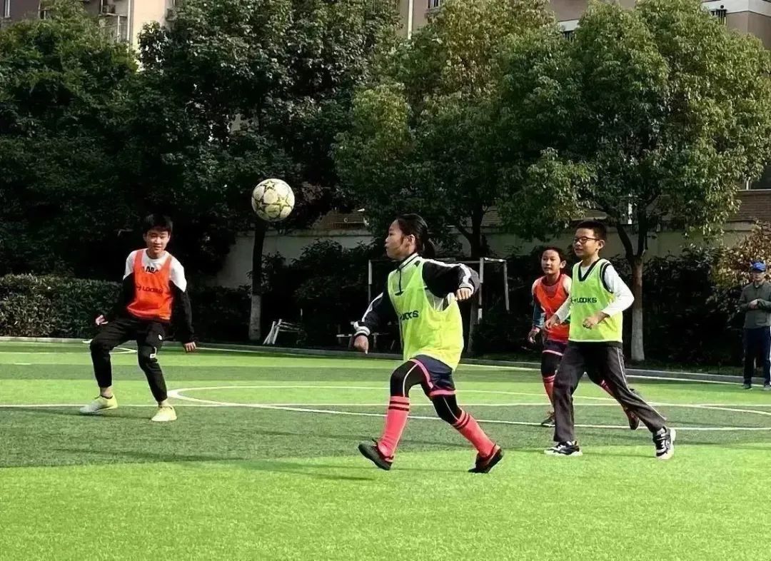 双减中小学活动,双减政策下的小学实践活动