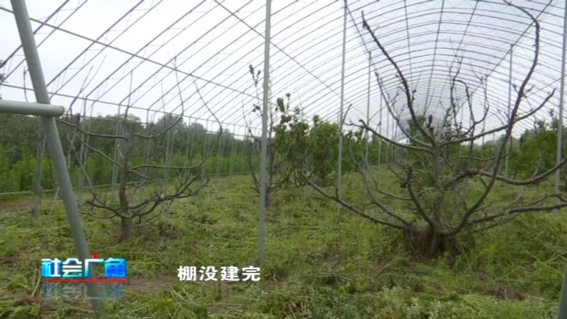 问政追踪督察整改,问政追踪石材整治