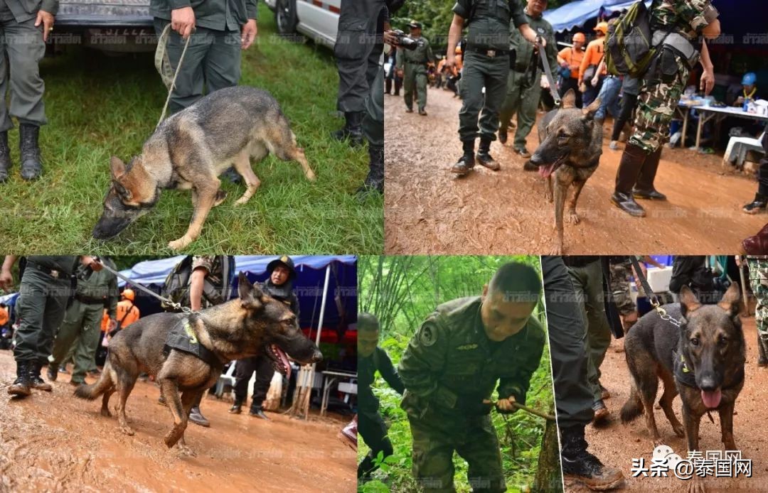 泰国洞穴恐怖,泰国最恐怖的恐怖山洞