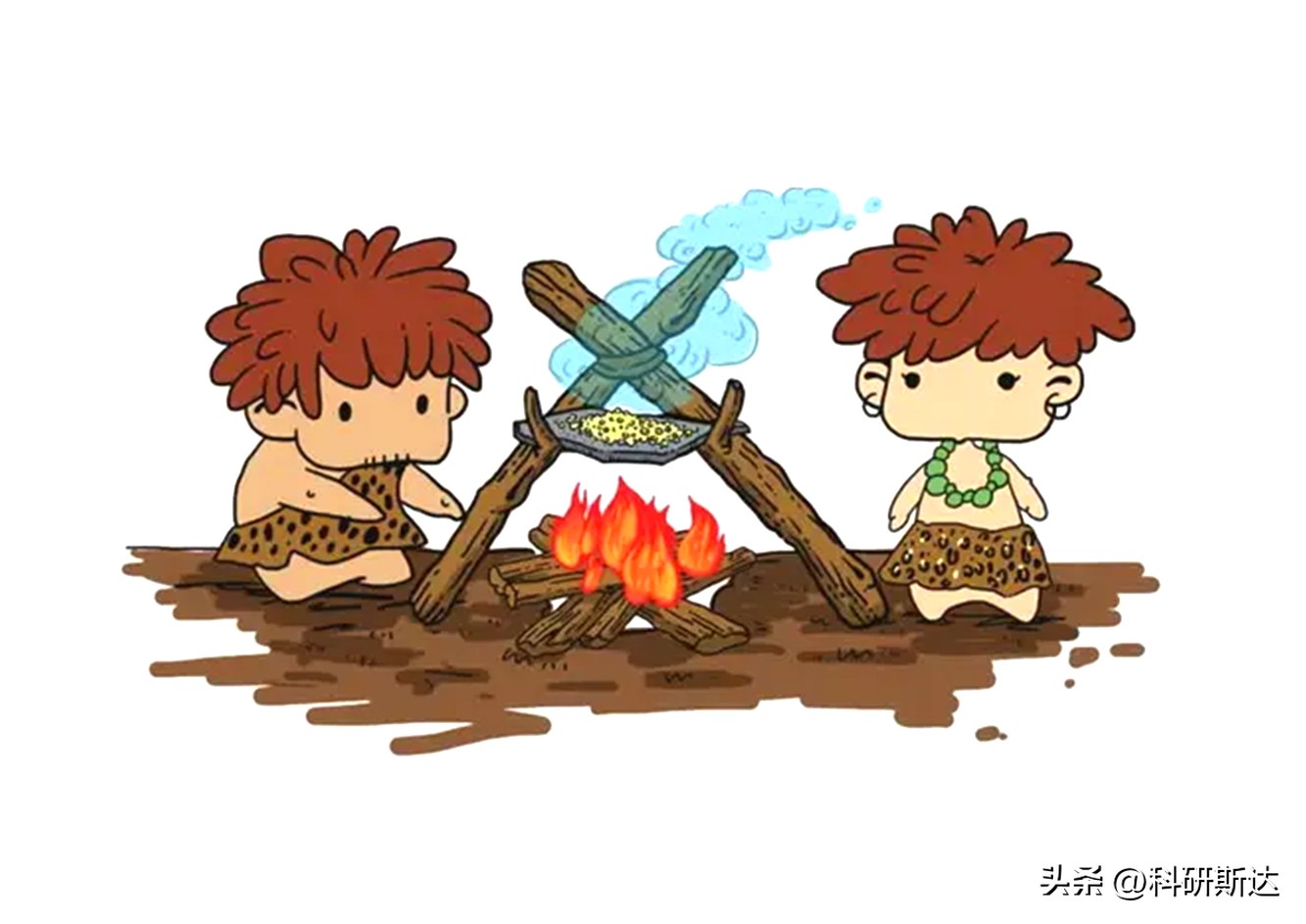 冠森生物科技水浴锅,数显水浴锅技术指标