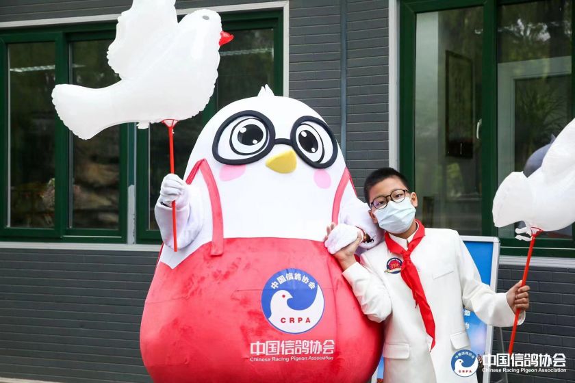 宋庆龄故居内和平鸽舍,建党100周年庆祝大会放飞和平鸽