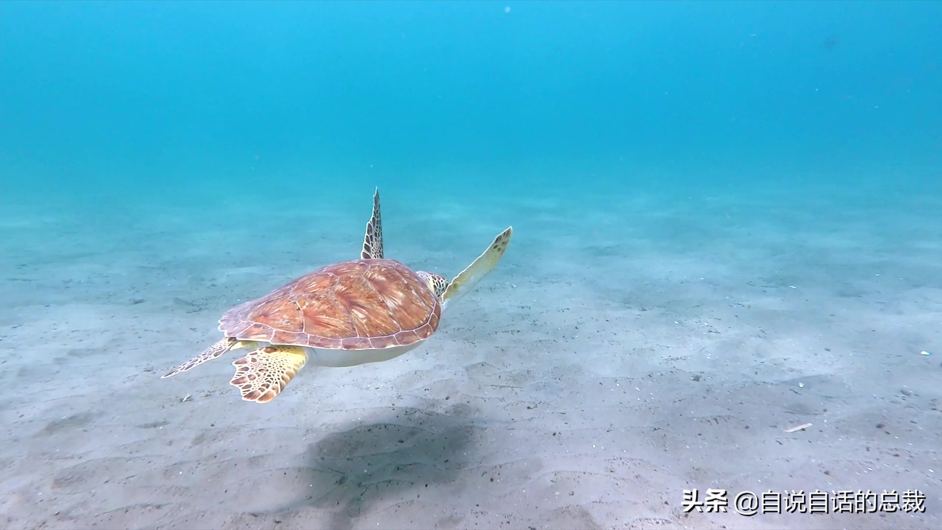 元宇宙给我们带来的影响,元宇宙对普通生活的影响