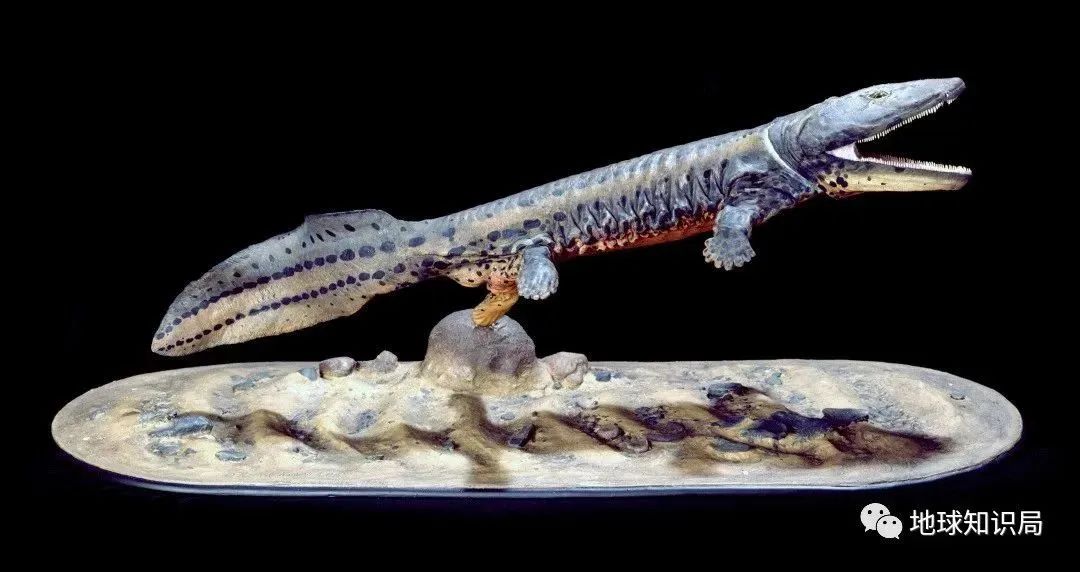 他们，做了一个违背祖宗的决定！|地球知识局