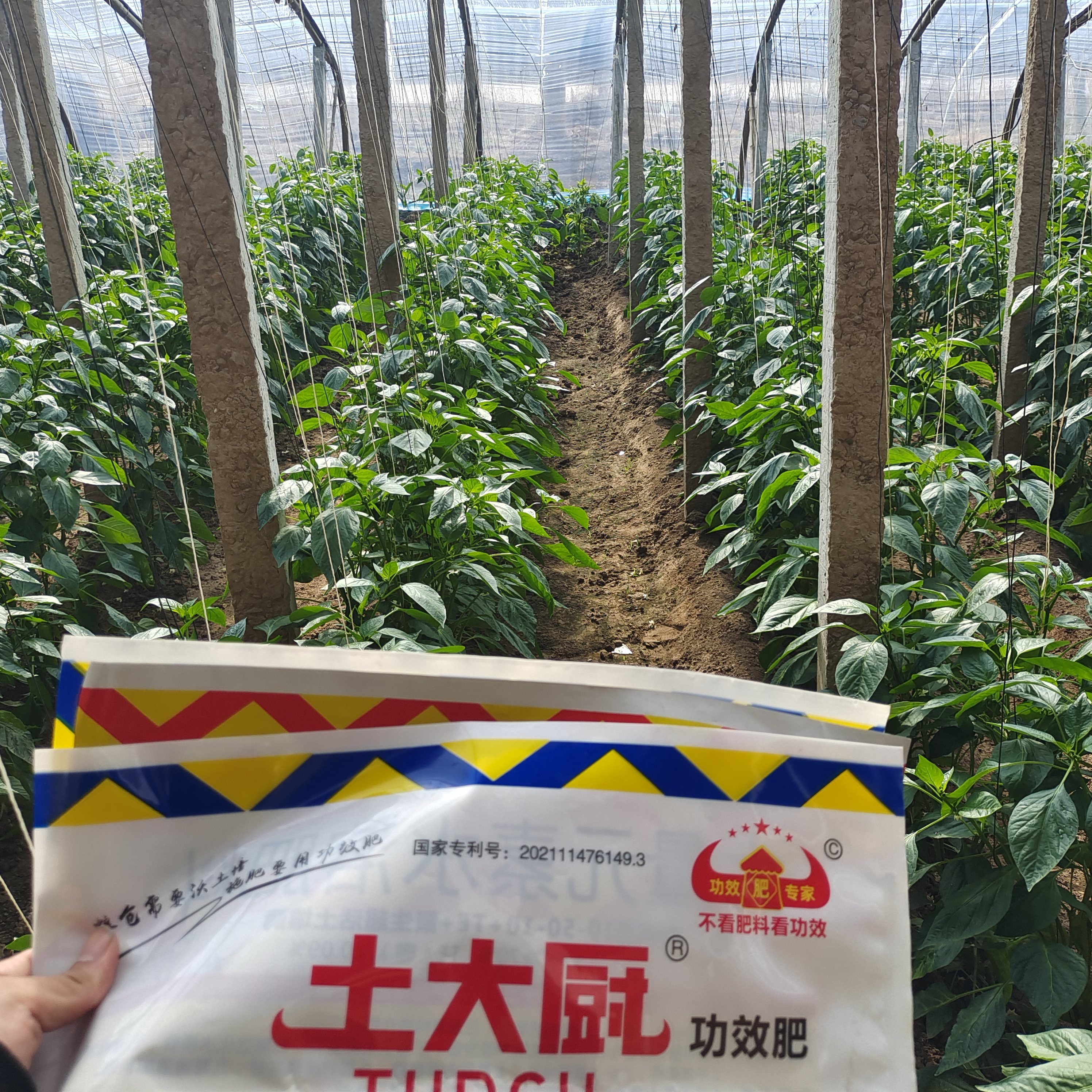 水溶肥经销商怎么做,厂家水溶肥市场推广方案