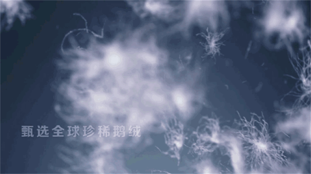 波司登玛莎拉蒂联名和普通版区别,玛莎拉蒂联名波司登