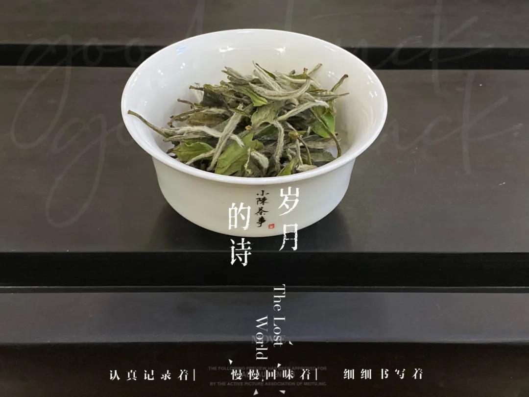 简单易学的手绘茶,手绘喝茶