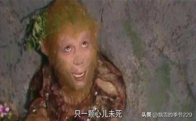 唐僧师徒谈白龙马,唐僧师徒英语对话