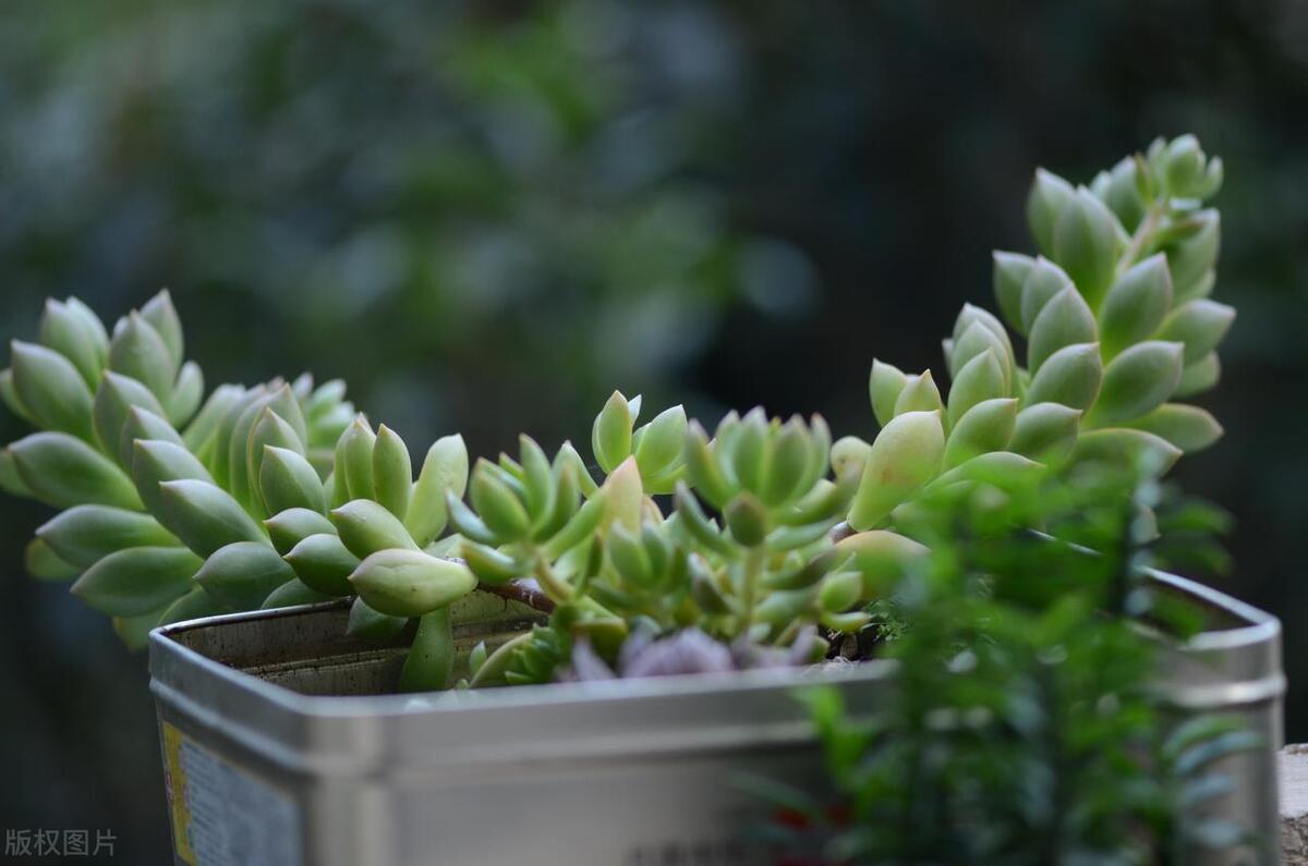 为人处世最怕碰到会算计的人,遇到算计自己的人怎么处理