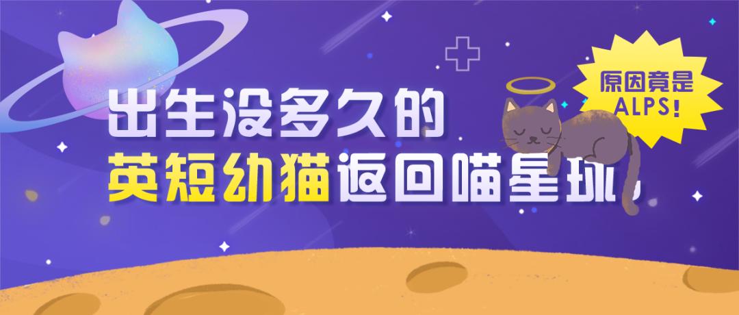 mdr1基因缺失什么意思,mdr1a怎么样