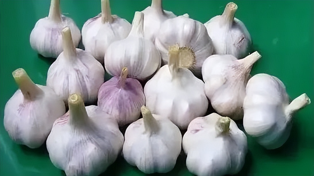 中国地理标志农产品品牌展播,洛阳十大农产品品牌排行榜