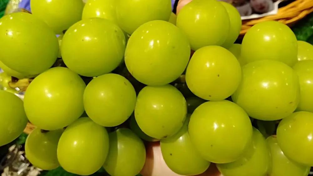 新手应该如何开水果店教程,如何开好水果店不外传的技巧