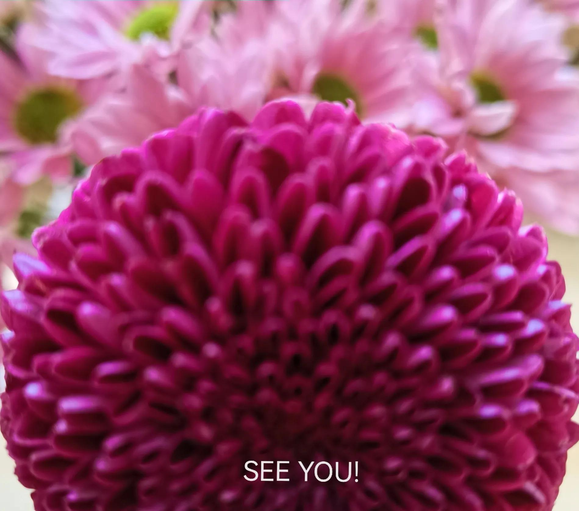 实用旅游英语口语大全,旅游英语口语每天学