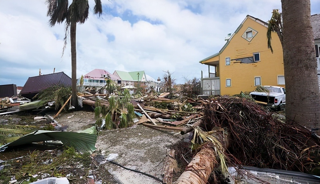 鸡的祖先是霸王龙？它为何每天都下蛋，细数鸡身上的“恐龙基因”
