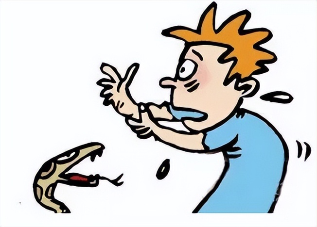 被毒蛇咬伤后救治,湘潭毒蛇咬伤救治