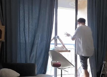 男子去阳台透气被猫反锁,被猫咪反锁在阳台
