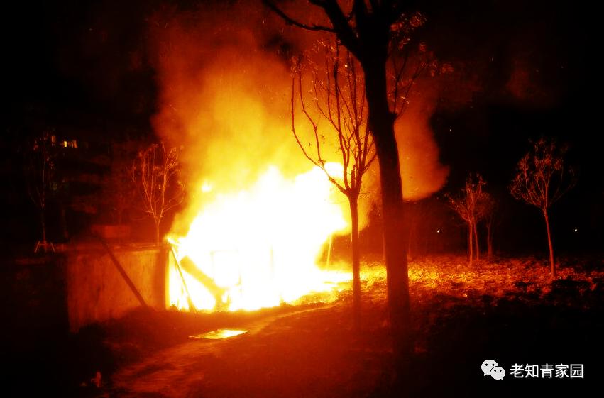 牺牲在北大荒的知青,在火灾中牺牲的消防战士