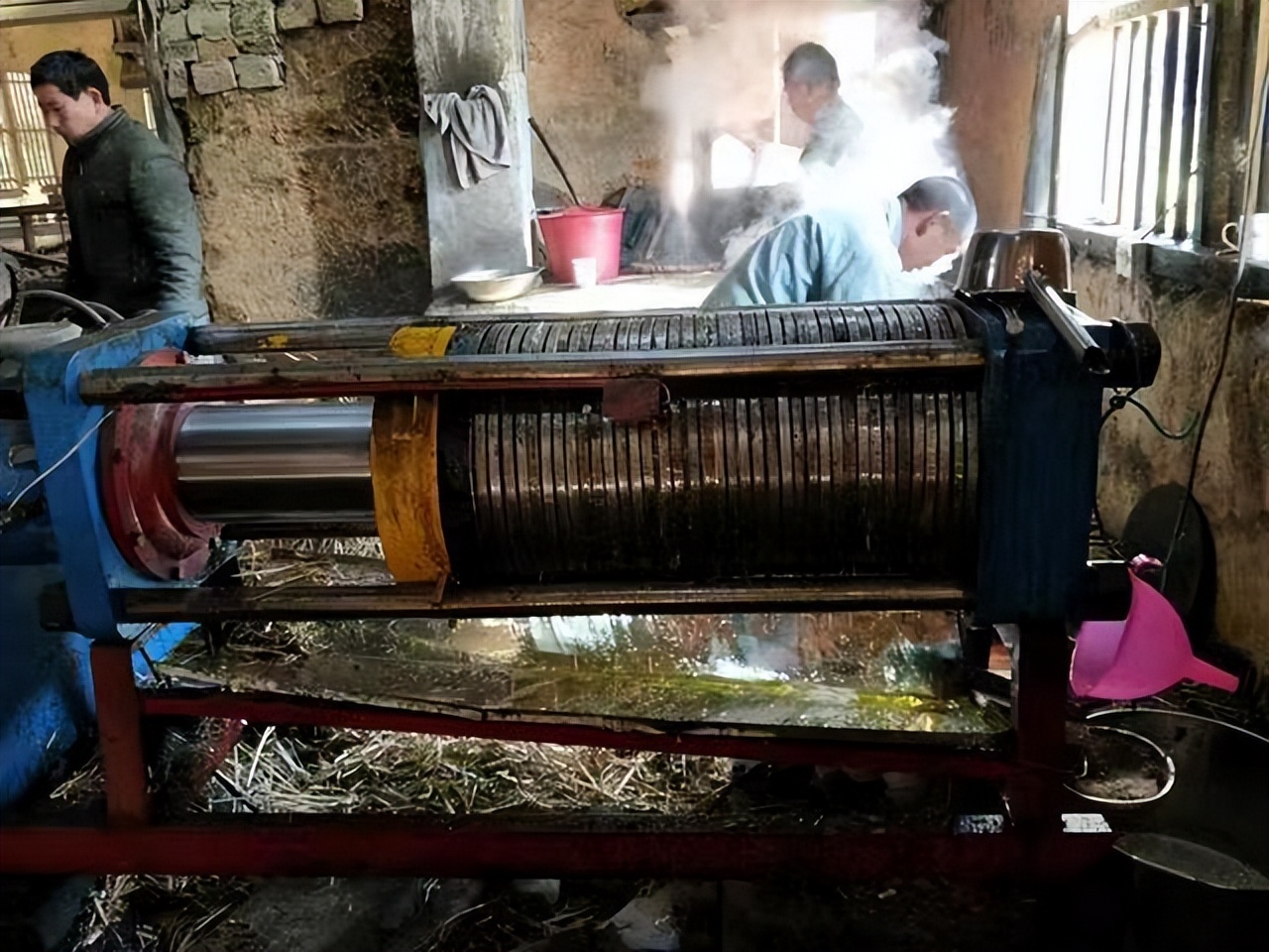 一亩地的茶树一年能收入多少钱,种一亩茶树一年的收入多少钱