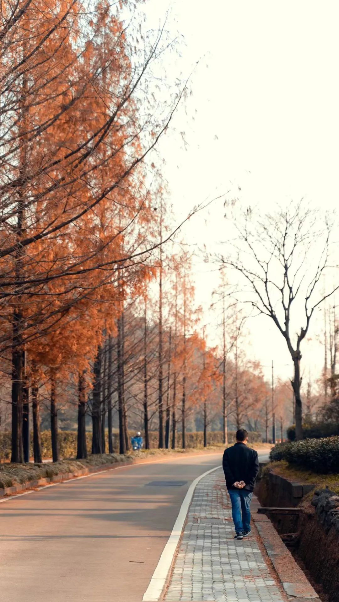 又一次离别,弘一与妻子最后一次送别