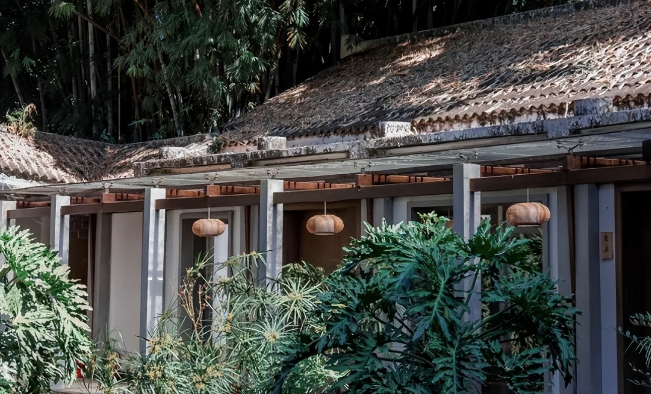 深圳值得去的70个公园你去过几个,深圳最值得去的七大主题公园