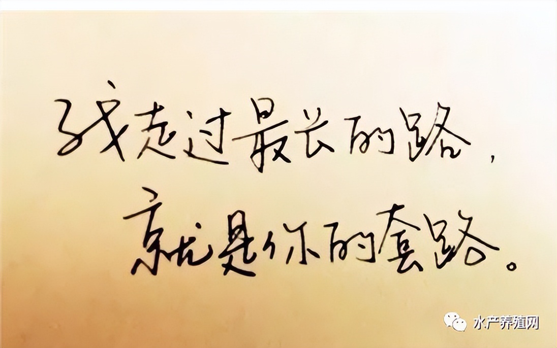 帆布池养殖加盟套路,帆布池养殖风险分析