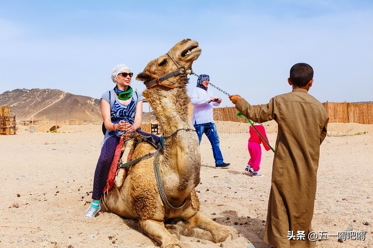 分享赚钱兼职,分享赚钱兼职任务