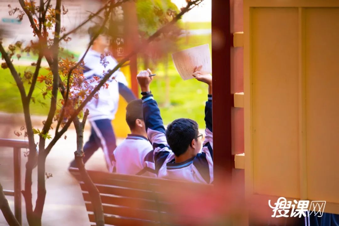 秋季限定|昆明九所学校，送你诗意校园里的一抹金