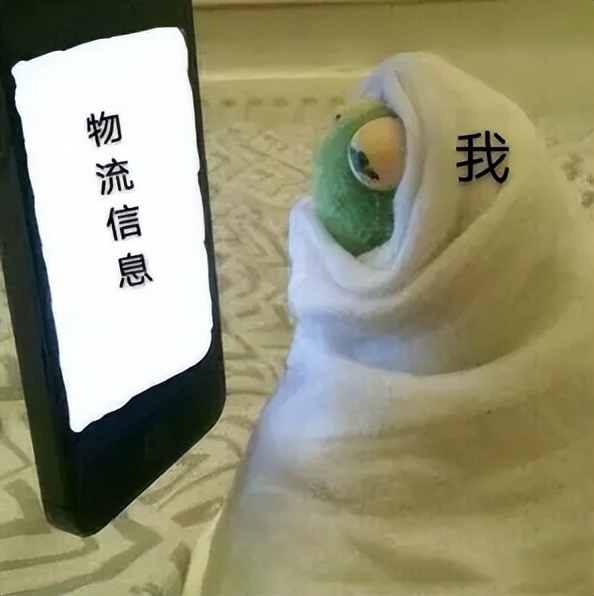 上海的快递什么时候能够正常派送,上海什么时候可以正常派送快递