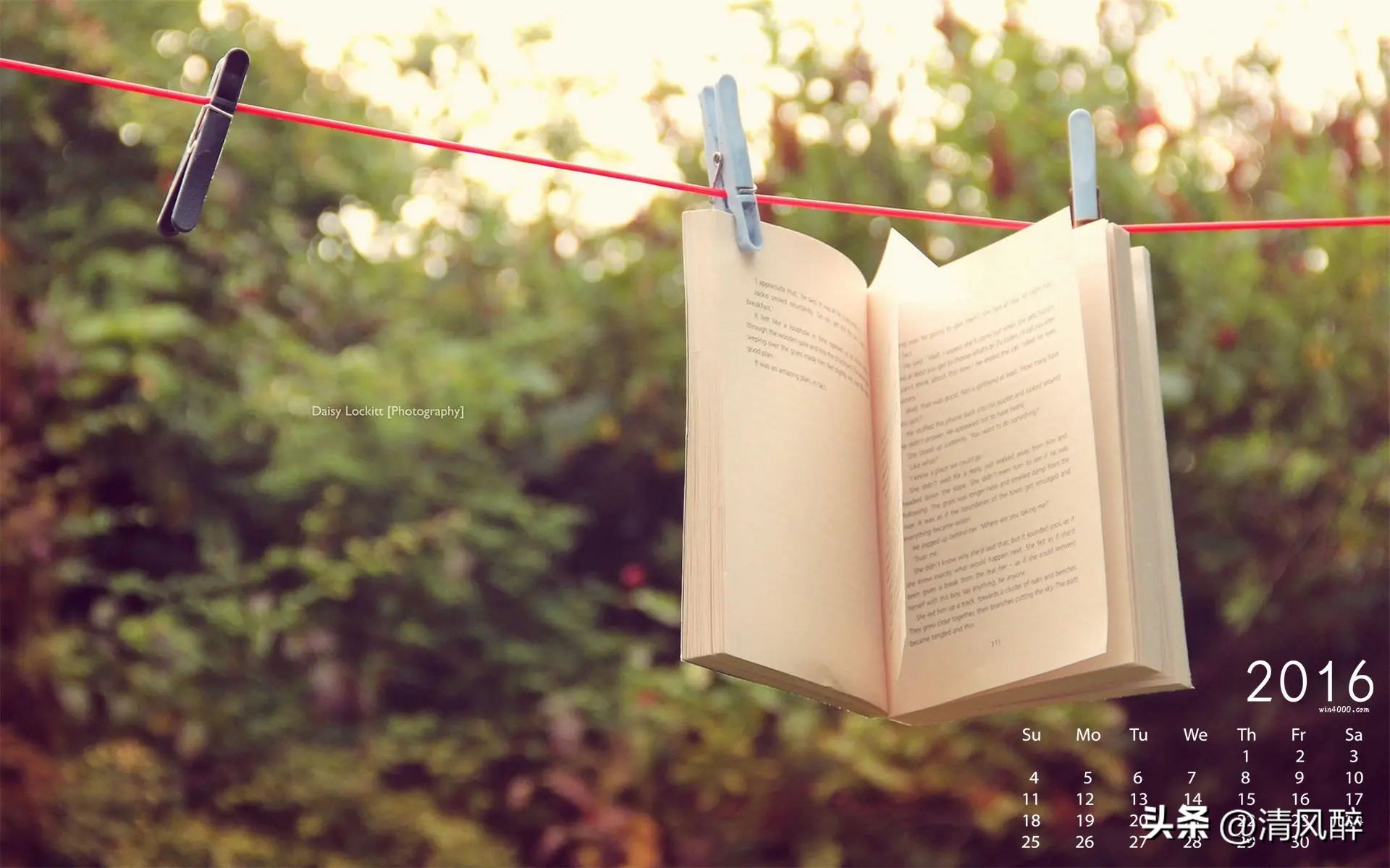 2024年最新微信个性签名,微信2023年个性签名