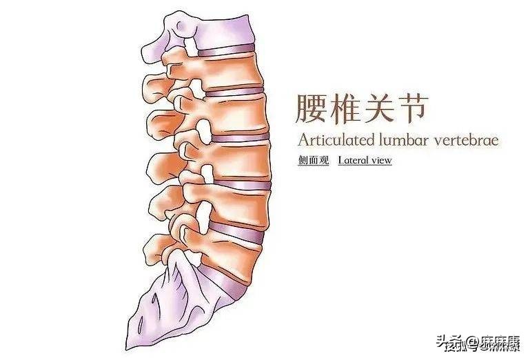 生育对身体的四大损伤！盆底肌常常被忽略