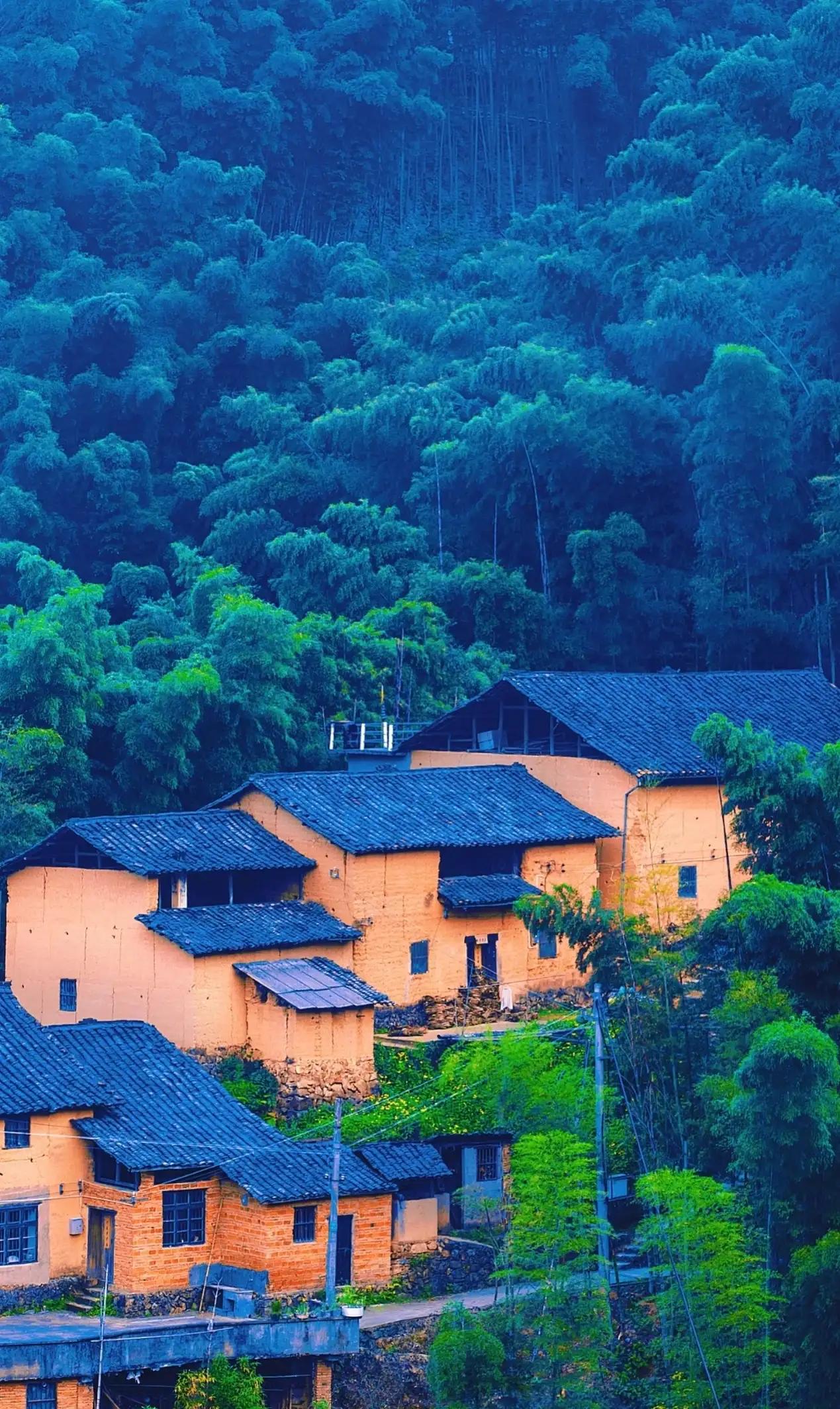 被偏爱的都有恃无恐音乐,被偏爱的都有恃无恐vlog