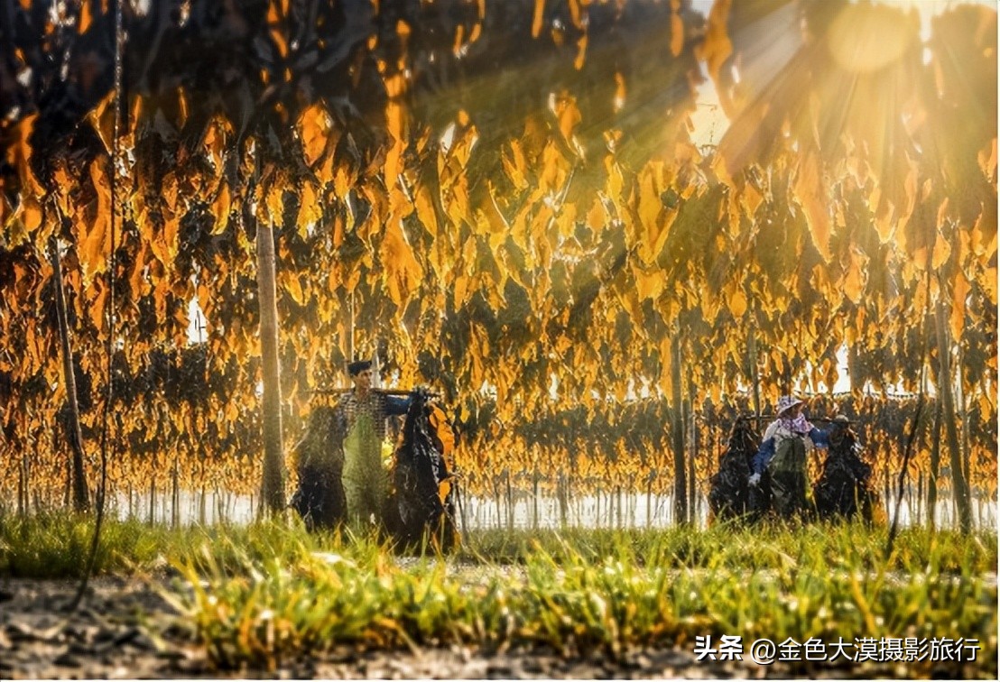 霞浦摄影风光,霞浦滩涂水墨摄影