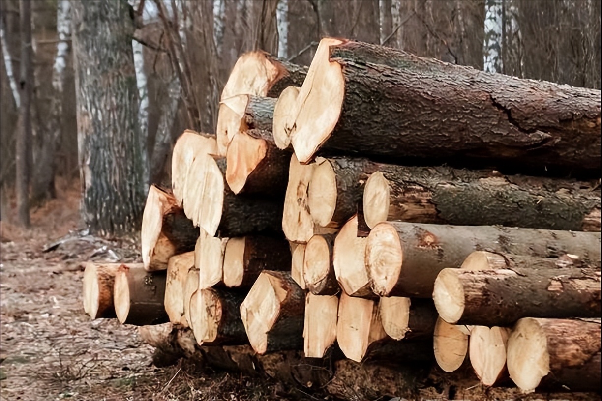 为啥棺材一头高一头低一头大一头,你知道棺材为什么一头大一头小