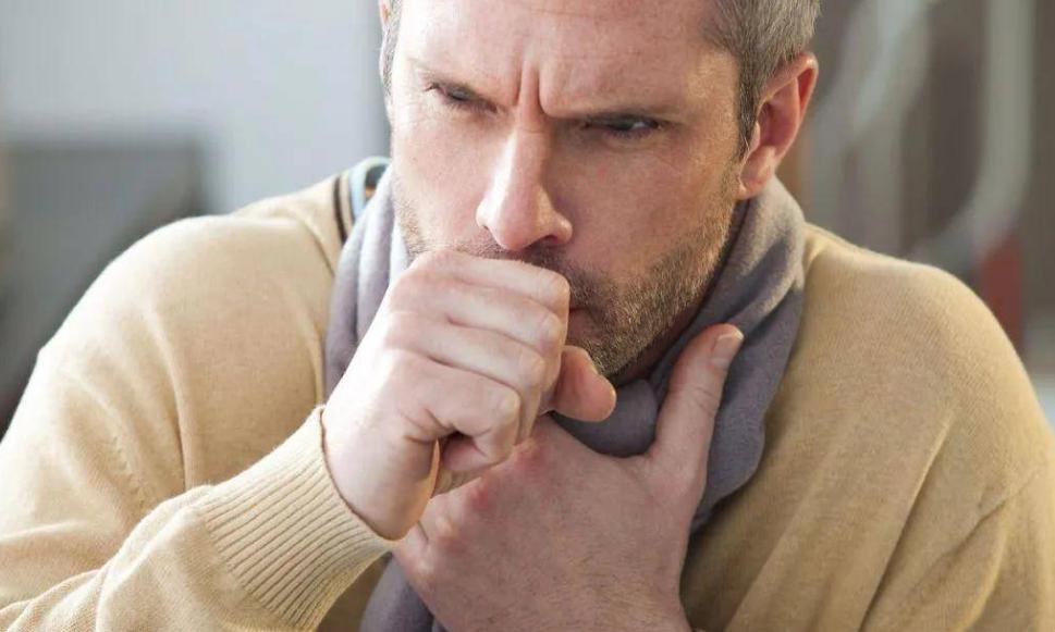 砂锅冰糖雪梨的正确做法润肺止咳,冰糖蜂蜜雪梨的正确做法润肺止咳