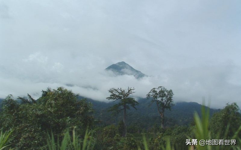 喀麦隆世界杯之旅,喀麦隆是哪届世界杯的黑马