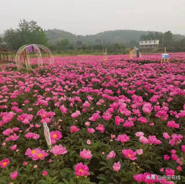 合肥发布63项文化旅游活动,五一合肥十大景区出炉