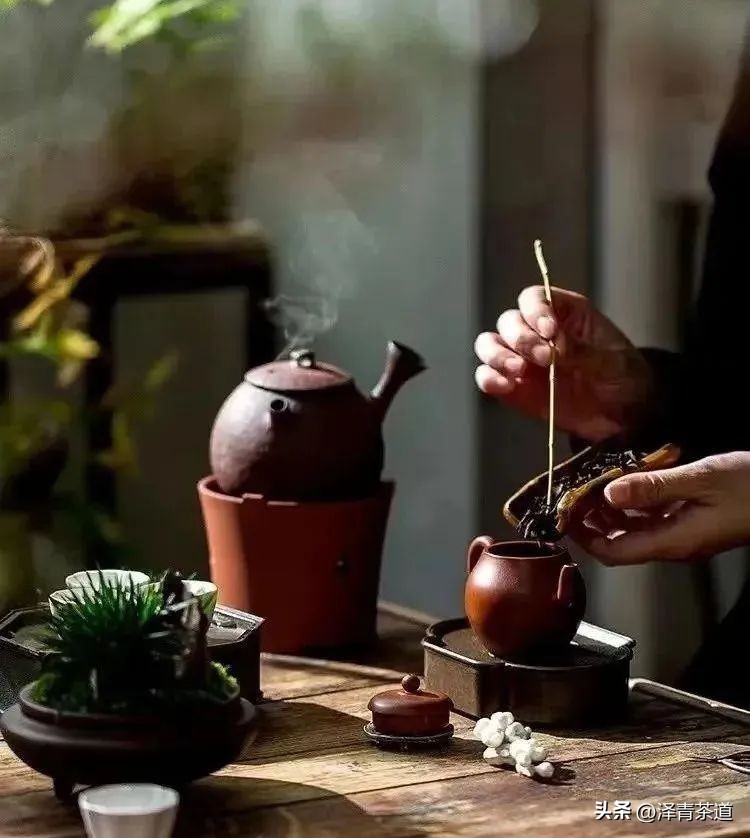 福建中国茶叶第一大省,中国茶叶排名第一省