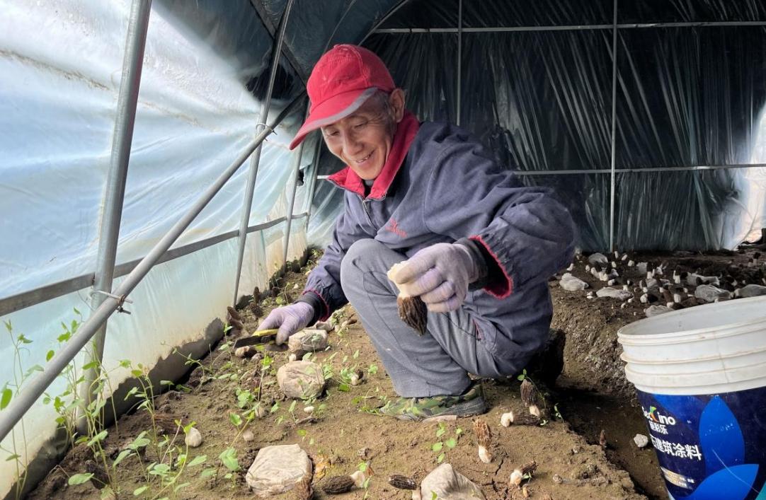 临渭区阳郭镇牛家村,临渭区故市镇牛家村
