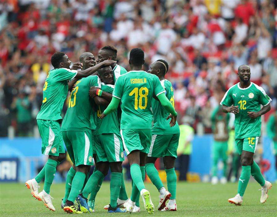 非洲杯进行时！这些非洲球队的绰号，你了解几个呢？