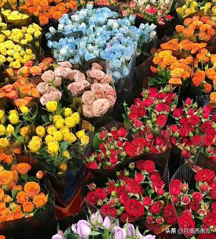 没有人能空手走出采摘园,无人能空手走出斗南花市