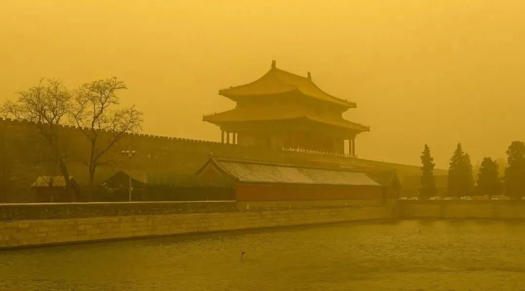 止咳清肺的食材,沙尘天气8大清肺润肺水果要多吃