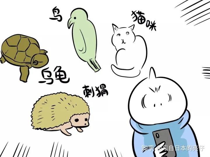 外国人第一次在中国购物,外国人最喜欢淘宝什么