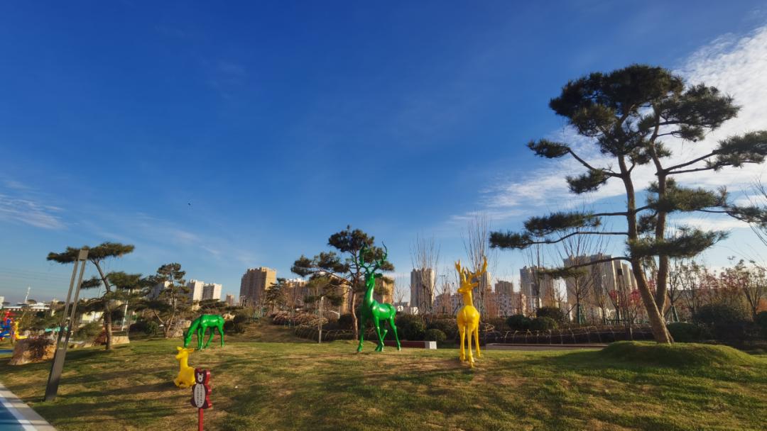 太美了值得去看的地方,临沂最美口袋公园