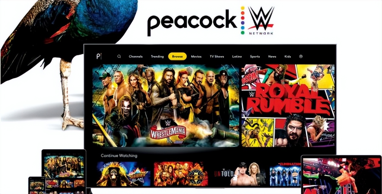 靠“假打”半年怒赚6.62亿美元，WWE的营运思路能否搬进中国？