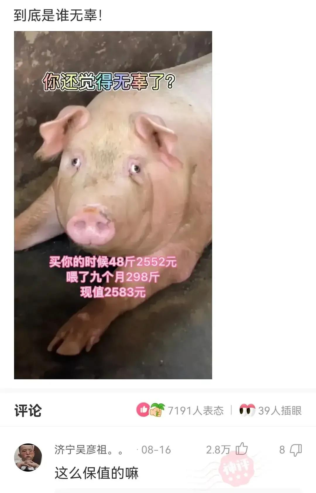 养殖人的心酸养殖到底能不能挣钱,在农村养殖怎么避免亏本